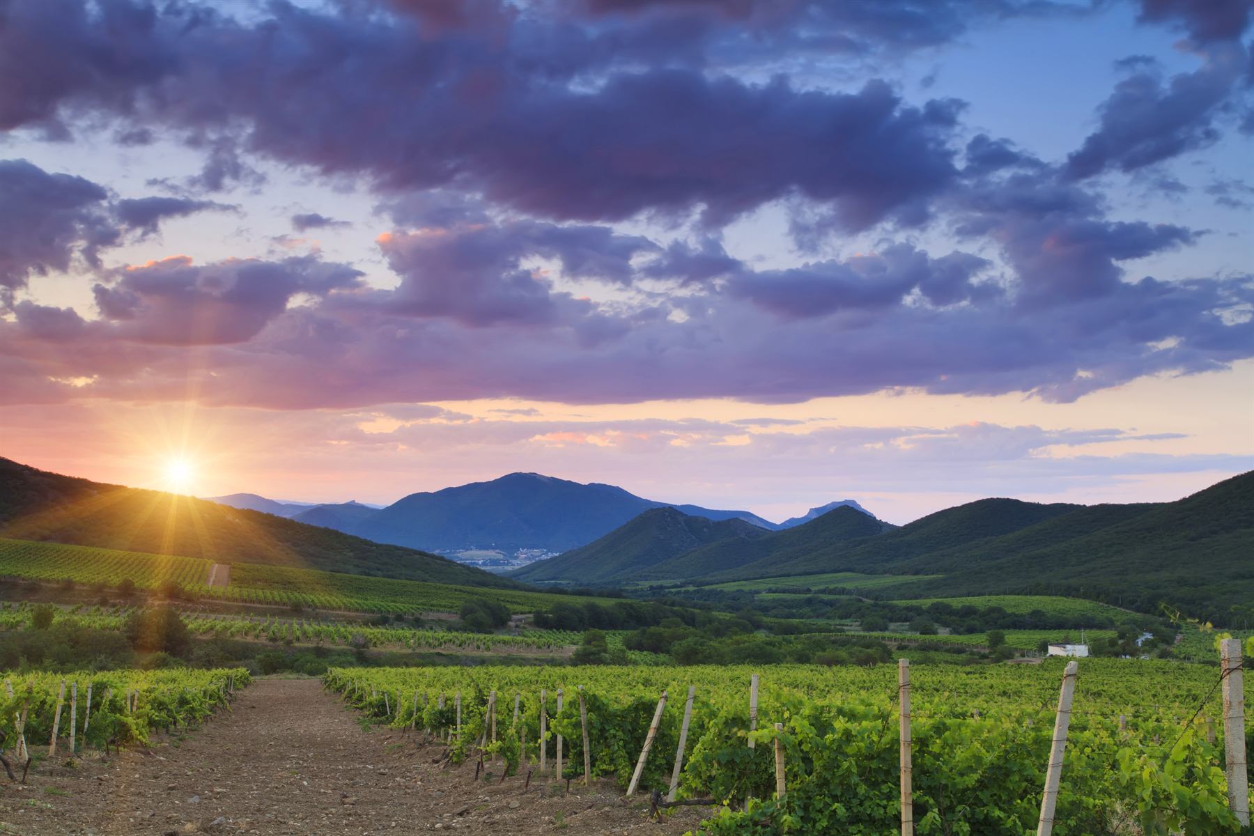 Signature West Kelowna Wine Tour