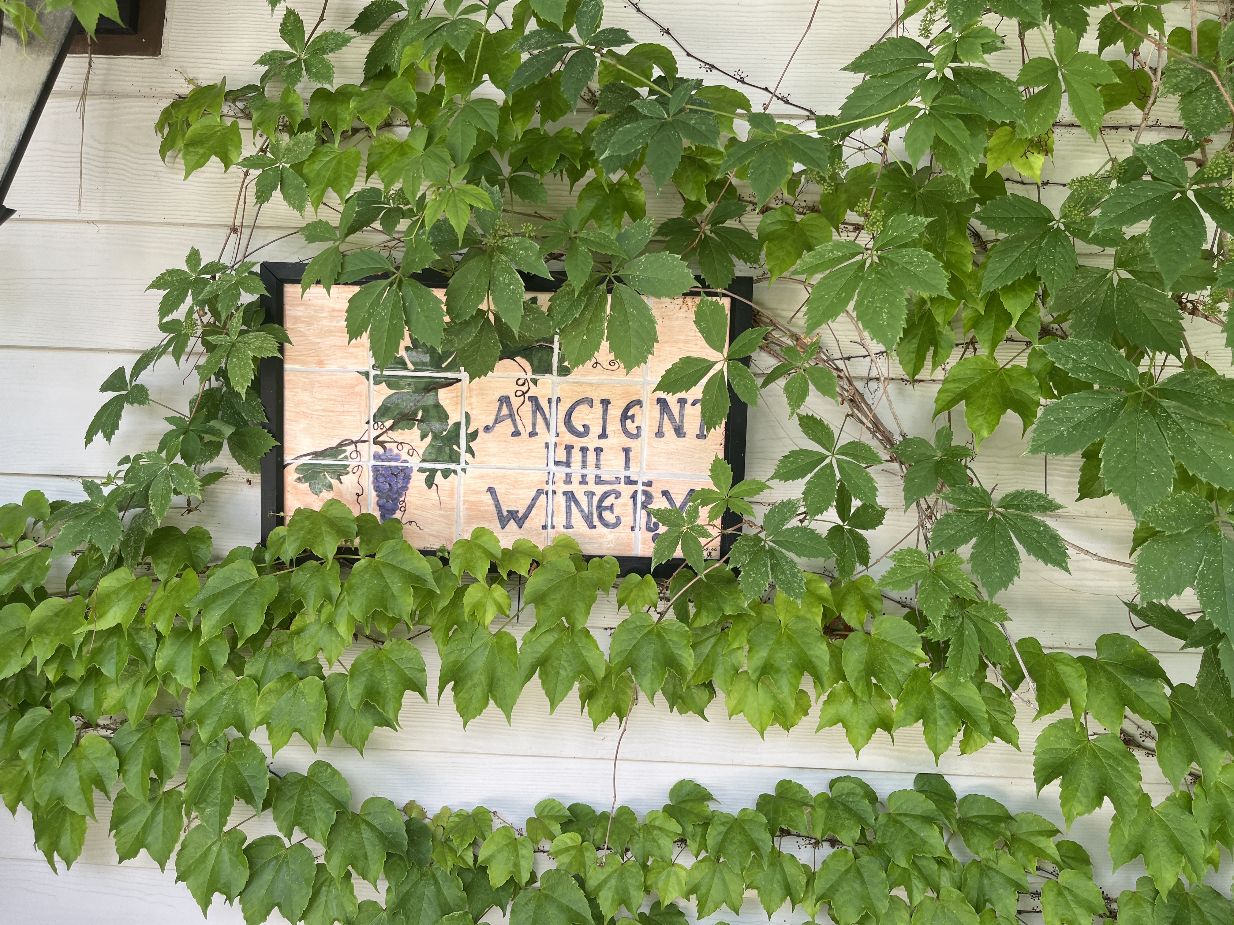Ancient Hill Estate Winery winery image